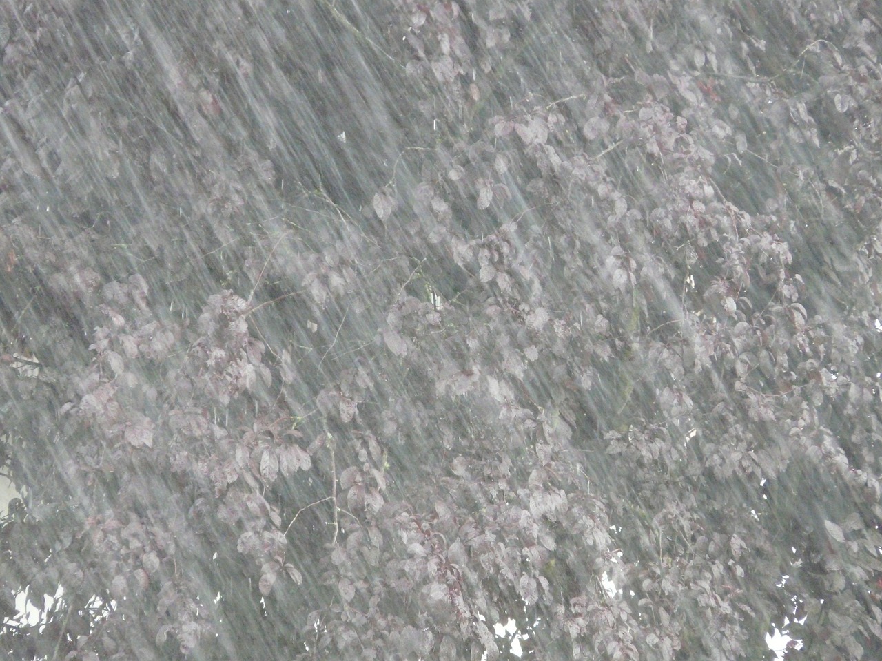 黑龙江哪里大暴雨?我连夜查了气象数据,这几个地方雨下得吓人 黑龙江哪里大暴雨?我连夜查了气象数据,这几个地方雨下得吓人